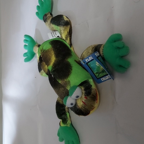Floppy Frog - Picture 5 of 6